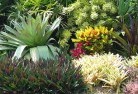 Selbourneplanting-garden-and-landscape-design-24.jpg; ?>
